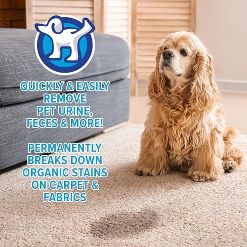 Pet Stain + Odor Eliminator - 32 oz Spray Bottle (2 Pack) - Professional Strength Advanced Formula Tackles Biological Messes on Fabric, Carpet, and More