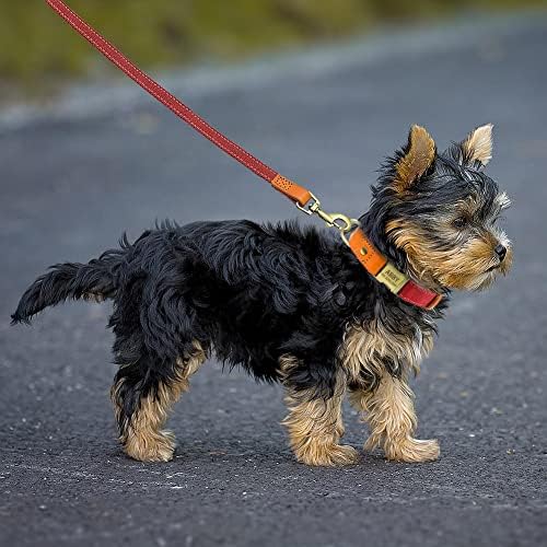 Personalized Dog Collar with Engraved Buckle for Small Medium Large Dogs, Custom Nylon & Genuine Leather Sewing Dog Collar with Name (M(3/4''*12''-19''),Red)