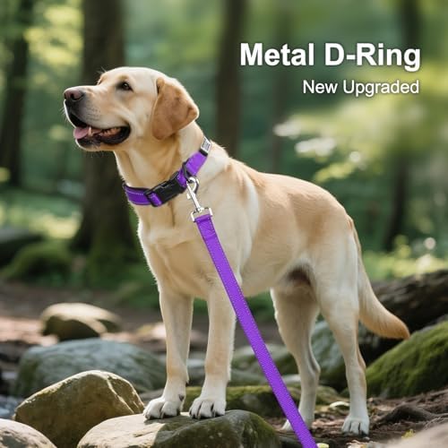 Joytale Personalized Dog Collar with Name Plate Built-in for Medium Dogs