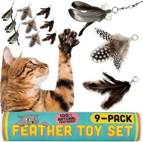Cat Feather Toy Refill 9-Pack, Natural Feather Cat Toys for Kittens & Bored Indoor Cats, Small Cat Wand Attachments, Feather Replacement for Forever Stick Cat Wand, Cat Wand Refill