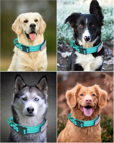 AUBELL Reflective Tactical Heavy Duty Dog Collar with Handle,Teal M
