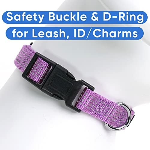 Pawtitas Reflective Dog Collar for Large Dogs – Adjustable Nylon Collar with Quick-Release Buckle | Fits Neck 16–26 in | Night Safety Training Collar | L | Orchid