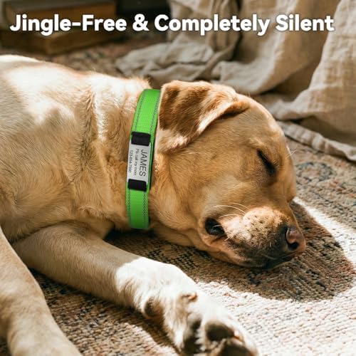 Joytale Personalized Dog Collar with Name Plate Built-in for Large Dogs