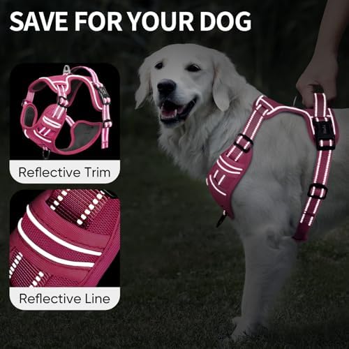 HEELE Dog Harness for Medium Dogs No Pull Dog Vest Harness with Soft Padded Handle Reflective for Outdoor Training, Rose(Matching Trim), M