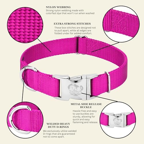 Country Brook Petz - Premium Nylon Dog Collar with Metal Buckle for Small Medium Large Breeds - 30+ Colors (Extra Large, 1 Inch, Fuchsia)