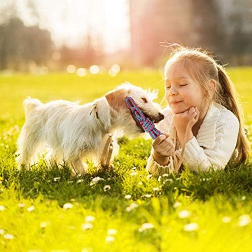 PLAYJOY Small Dog Toys/Puppy Chew,10 Pack Interactive Dog Toys for Boredom, Cute for Small/Medium Dogs, Squeaky Plush Dog Rope Toys