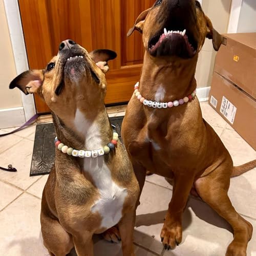 Personalized Beaded Dog Collar with Buckle,Custom Dog's Name Collar,Dog Cat ID Collar,Heart Beaded Cat Dog Collar,Custom Pet Necklace