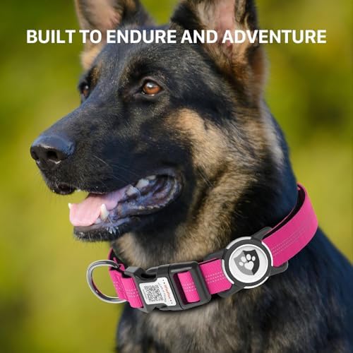Waterproof AirTag Dog Collar with QR Code Dog Tag, Rose Red L
