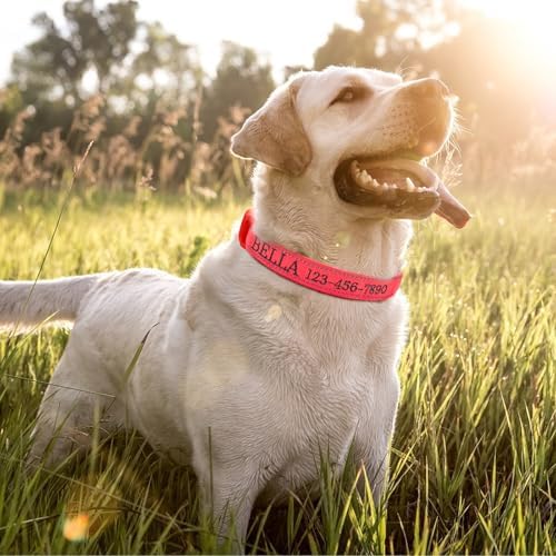 Personalized Nylon Dog Collar with Embroidered Name, Red