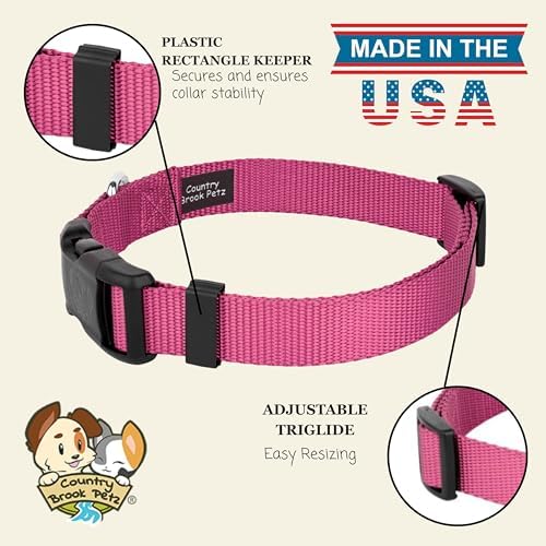 Country Brook Petz - Everyday Nylon Dog Collar for Large, Medium, and Small Dogs and Puppies - for Everyday Use in 30+ Colors (2XS, 3/8 Inch Wide, Rose)