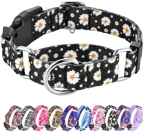 Hikiko Martingale Collar for Dogs with Special Pattern,Adjustable,S
