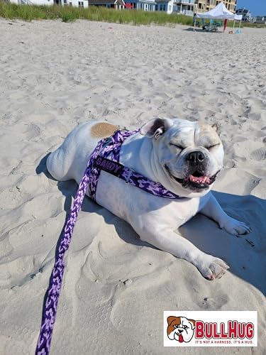 BULLHUG 6 FT Bulldog Leash with Padded Handle. Perfect for Bulldogs & All Breeds. Leash for Walking & Training (Mint Pink Camouflage)