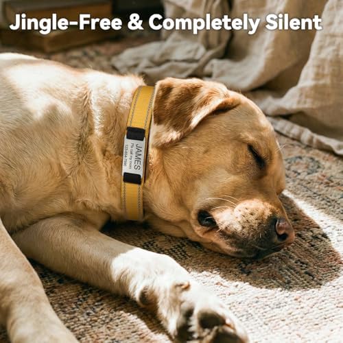 Joytale Personalized Dog Collar with Name Plate Built-in for XSmall Dogs