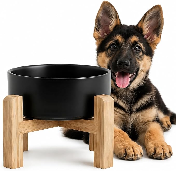 hjn Elevated Ceramic Dog Bowl with Bamboo Stand, Raised Pet Feeding Station for Small Medium Dogs Cats, Modern Design with Anti-Slip Base (Black, 3.6Cup)
