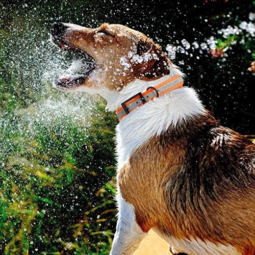 Dogline Biothane Translucent Reflective Waterproof Dog Collar Strong Coated Nylon Webbing with Black Hardware Odor- Proof for Easy Care Clean Fits Small Medium or Large Dogs - Orange 3/4"W x 15"-18" L