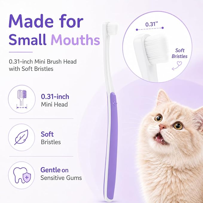 Cat Toothbrush & Toothpaste Kit, Soft & Finger Brushes, 2.5oz | Tiny Teeth Care. Finger-Fit Control. Coconut Chicken Flavor. Easy Brushing for Cats & Kittens. Daily Use.