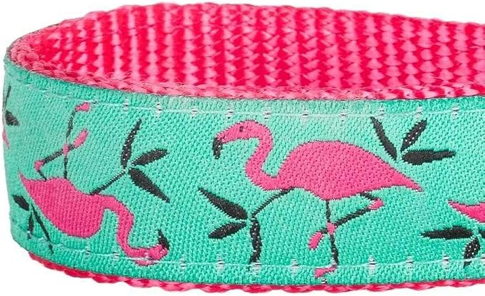 Blueberry Pet Essentials 2 Patterns Durable Pink Flamingo on Light Emerald Dog Leash 5 ft x 3/4", Medium, Basic Nylon Leashes for Dogs