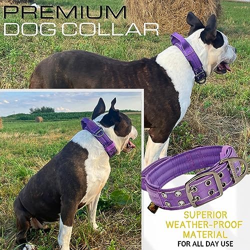 ADITYNA Heavy Duty Dog Collar for Large Dogs with Traffic Handle