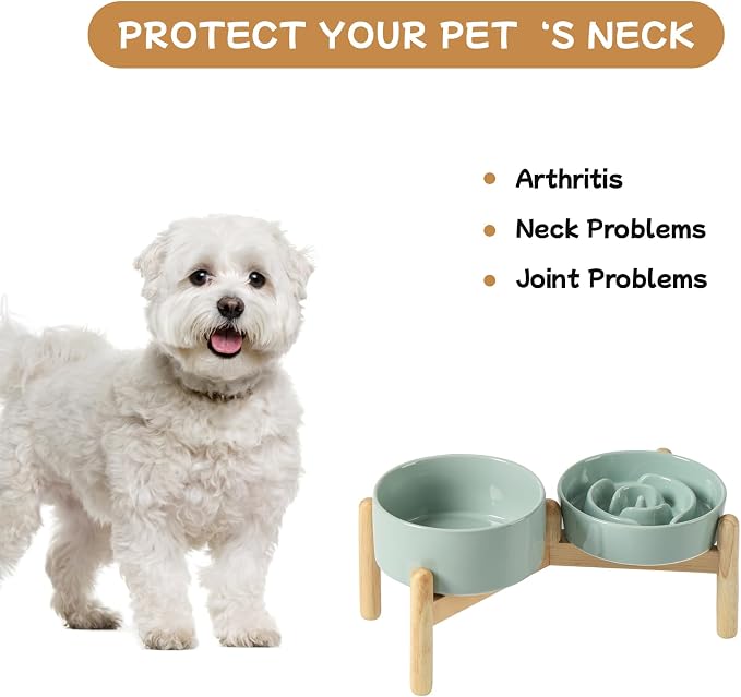 Havniva 6.1” Raised Slow Feeder Dog Bowls Set, 0.9 Cups Ceramic Slow Feeder Dog Bowl and 6.1” Dog Water Bowl with Elevated Wooden Stand Puzzle Dog Food Bowl for Small Dogs Anti-Gulping & Anti-Choking