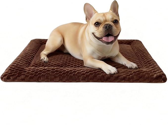 Dog Bed Mat, Dual-Sided Dog Crate Bed Mat - Ultra Soft & Machine Washable Kennel Pad for Small Dogs, All-Season Comfort Pet Bed for Crates, Travel, and Home, Brown, 24 x 16 Inch