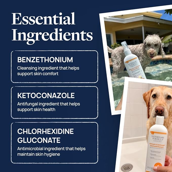 Veterinary Formula Clinical Care Antiseptic & Antifungal Shampoo, 16 oz | Medicated formula helps alleviate scaly, greasy and red skin; free from parabens, dyes and soap