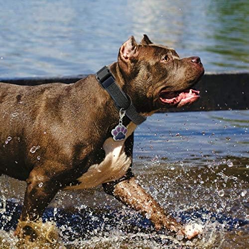 Dog Collar Waterproof Pet Collars,Neck Adjustable Silicone Dog Collar with Strong Coated Webbing and Cute Metal Pendant for Boy Girls Dog Collars S/M/L Sizes