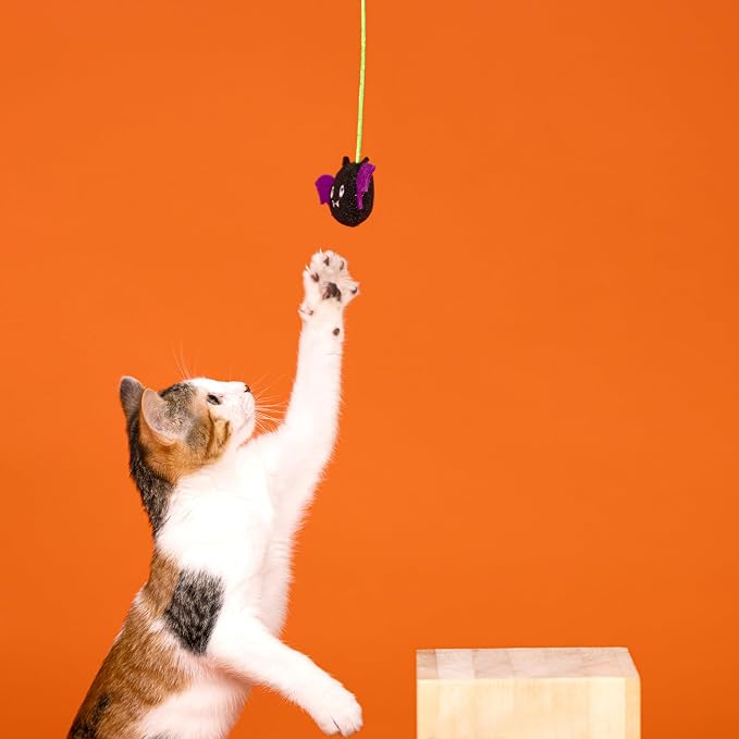 Fringe Studio Pet Toy, Blind and Seek 6 PCS Multipack Cat Toy Set, PetShop Collection (615013)