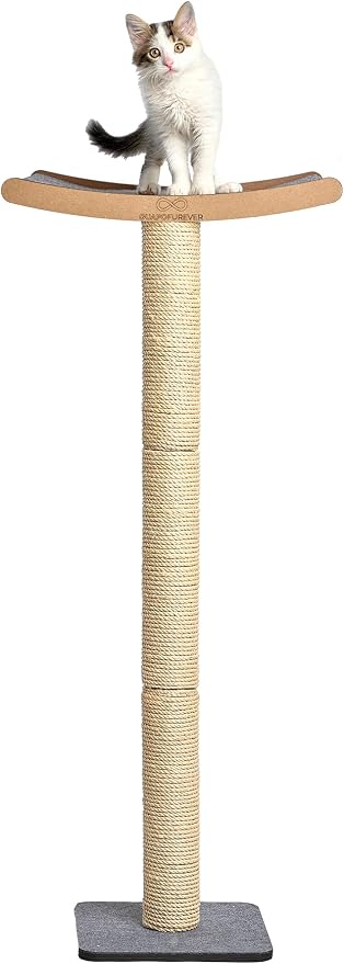 Cat Scratching Post with Perch for Large Cats – Modern Hammock Window Bed, Strong Suction Cups, Durable Eco, Space Saving Furniture for Indoor Cats