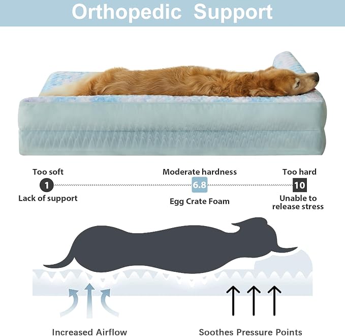 BFPETHOME Orthopedic Washable Dog Bed, Sleeping Couch for Large Senior Dogs | Deluxe Plush Rose Velvet Washable Cover, Egg Crate Foam Support, Waterproof Lining, Non-Slip Bottom, Senior Dogs