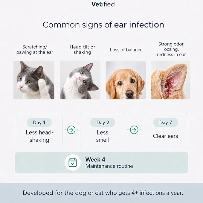 Ear Infection Treatment XL+ Dogs & Cats Ear Cleaner - 2 in 1 Dual Action Help with Yeast, Odor, Earwax & Buildup - 12 fl oz - NDC: 86247-004-12