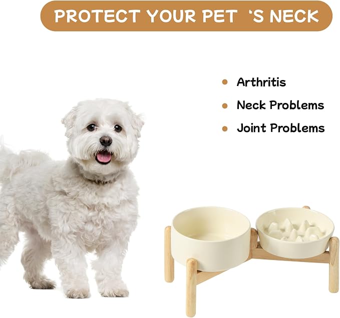 Havniva 6.1” Raised Slow Feeder Dog Bowls Set, 0.9 Cups Ceramic Slow Feeder Dog Bowl and 6.1” Dog Water Bowl with Elevated Wooden Stand Puzzle Dog Food Bowl for Small Dogs Anti-Gulping & Anti-Choking