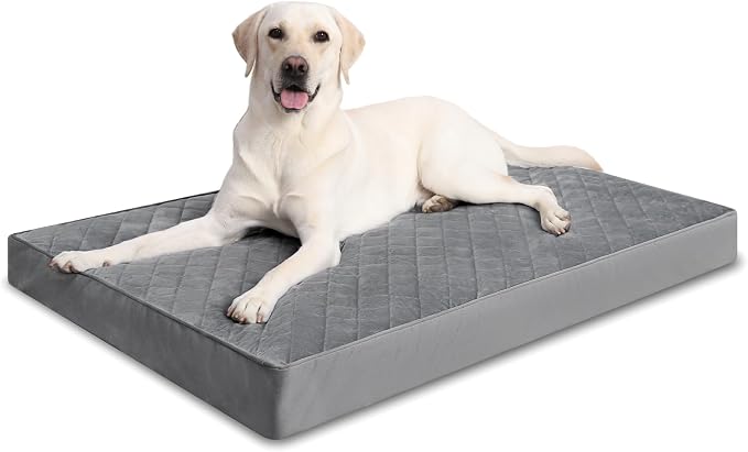 NUPIDA Orthopedic Dog Beds Large Sized Dog Waterproof Lining with Removable Washable Cover and Non-Slip Bottom, Quilting Pet Bed, 35x23 Inch, Dark Gray