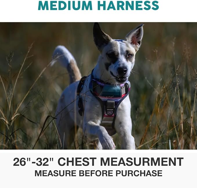 Embark Adventure Dog Harness, Reflective Trim No Pull Harness for Medium Sized Dog - Military Grade Nylon, Front Clip with Gel Lined Handle. Soft & Padded Puppy