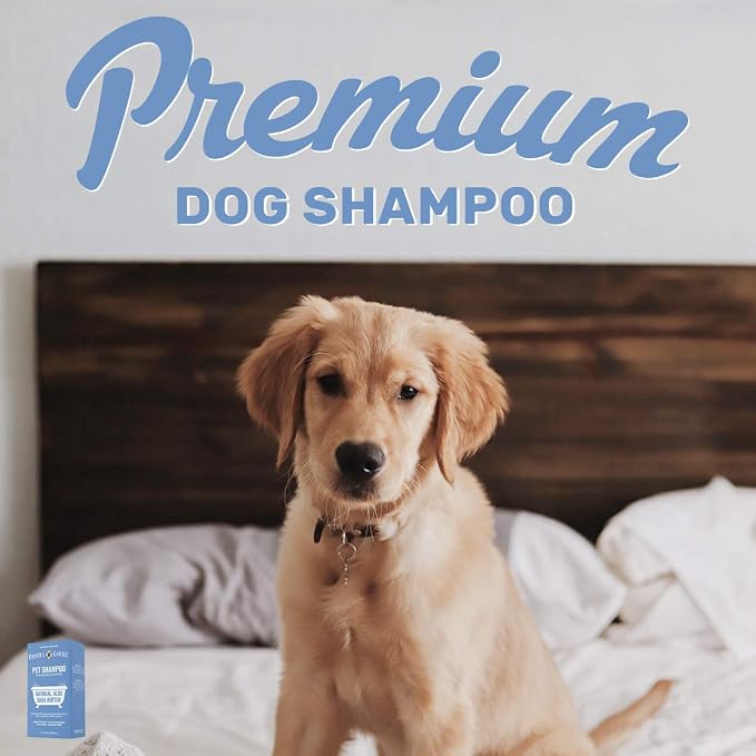 OLIVER'S CHOICE Dog Shampoo with Oatmeal, Aloe & Shea Butter – Deodorizing Puppy Shampoo for Smelly Dogs, Itchy Skin Relief, Paraben-Free, Biodegradable, Cruelty Free – 14 fl. oz | Sensitive skin care, Itch relief, Deodorizing, Aloe, Shea butter, Soft ...