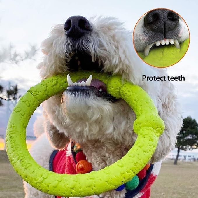 LaRoo Dog Chew Ring Toy for Small Dogs, Durable EVA Floating Puppy Teething Chew Toy, Interactive Tug of War Fetch Toy for Dental Cleaning & Outdoor Play (Green)