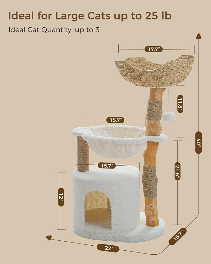 MUTTROS Modern Cat Tree for Large Cats, Wood Cat Tower for Indoor Cats, Real Branch Luxury Cat Furniture with Super Large Cozy Condo and Hammock & Scratching Post, Top Basket, White