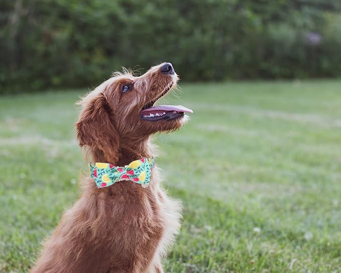 DOGWONG Cotton Summer Dog Collars, Lemon Bowtie Dog Collar, Adjustable Heavy Duty Girl Dog Collar with Bow for Small Medium Large Dogs,XS