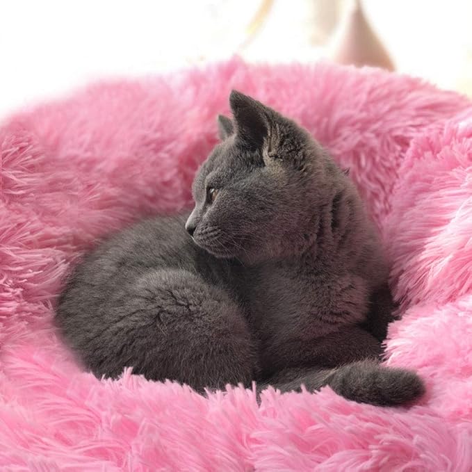 Modern Soft Plush Round Pet Bed for Cats or Small Dogs, Mini Medium Sized Dog Cat Bed Self Warming Autumn Winter Indoor Snooze Sleeping Cozy Kitty Teddy Kennel (20'' D x 8'' H, Hot Pink)