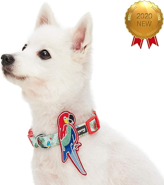 Blueberry Pet 10 Patterns Fun Parrot Adjustable Dog Collar with Detachable Décor, Small, Neck 12"-16"