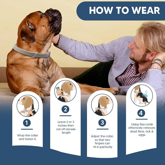 Collar for Dogs, Large Dogs Collar-1P