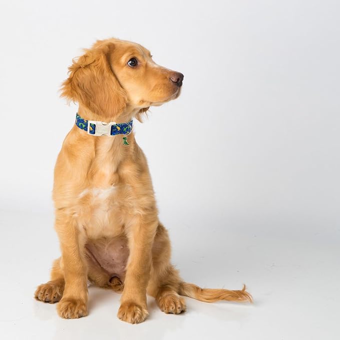 Dinosaur Dog Collar, Cute Boy Dog Collars for Giant Large Dogs - Blue Multicolor Dino Cotton Male Dogs Collar, Soft Adjustable Daily Pet Collars with Quick Release Buckle XL