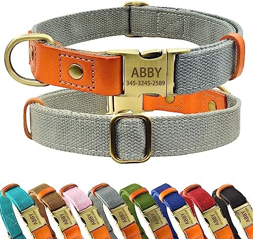 Personalized Dog Collar with Engraved Buckle for Small Medium Large Dogs, Custom Nylon & Genuine Leather Sewing Dog Collar with Name (M(3/4''*12''-19''),Gray)