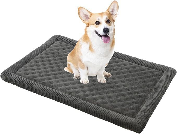 MINIDEAR Dog Crate Pad, Crate Bed Non-Skid Kennel Pad, Rubber Backing Memory Foam for Dog Bed Mat, Machine Washable Dog Bed for Crate, 17"x24"