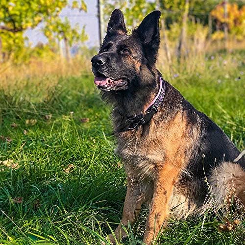 Ferplast Dog Collar Sport Dog, Dog Collar Large Dogs, Soft Padding, Reflective Nylon Dog Collar, Pet Name Tag, Size: 2,5 cm (45-55 cm), Pink