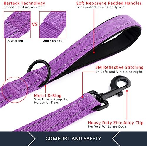 Plutus Pet Double Handle Dog Leash, 5 FT Long, for Medium Large Dogs