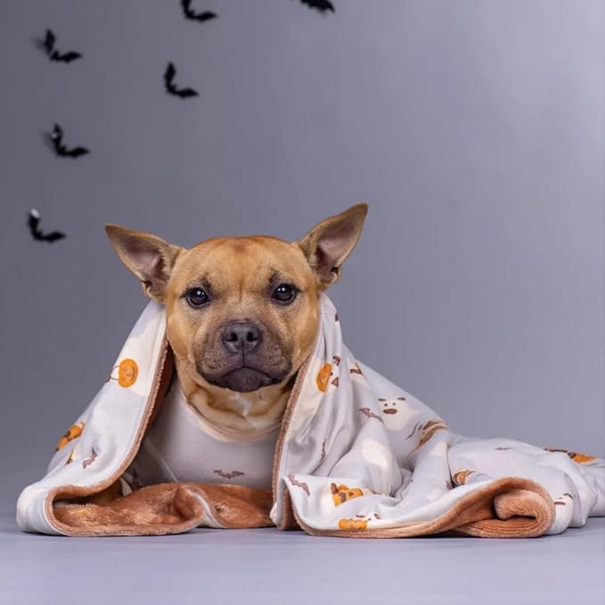 Darren & Phillip Howl-O-Ween Blanket - Ultra-Soft Blankets Made with Plush Fleece - Perfect as a Dog Bed Blanket or for Cuddling with Your Pup - Ultra-Snuggly Blankets for Dogs & Humans