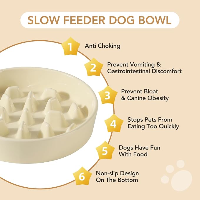 Havniva 9.5” Raised Slow Feeder Dog Bowls Set, 3.2 Cups Ceramic Slow Feeder Dog Bowl and 8.2” Dog Water Bowl with Elevated Wooden Stand Puzzle Dog Food Bowl for Large Dogs Anti-Gulping & Anti-Choking