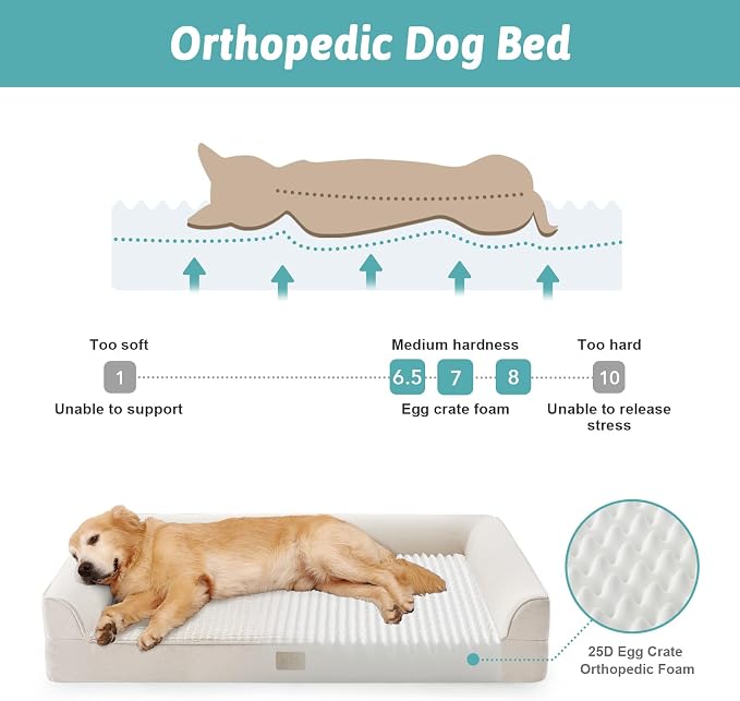 COZY KISS Orthopedic Dog Bed for Extra Large Dog 44x32 inch, XL Pet Sofa, Bolster Foam Bed with Sides, Non-Slip and Egg-Crate Big Dog Couch Bed with Washable Removable Cover, Beige