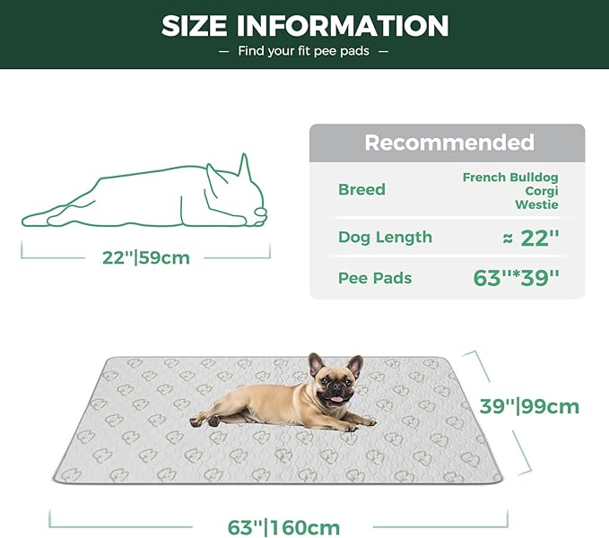 FXW Washable Pee Pads for Dogs, Super Absorbent, 39" x 63", 2 Packs | Machine washable, Non-slip backing, Fits 24"H 6-Panel FXW Rollick/Homeplus Playpens