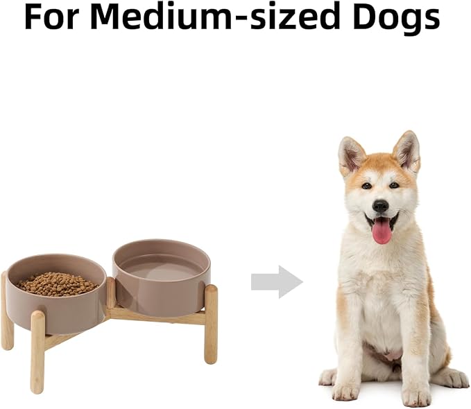 Havniva 6.1inch Ceramic Raised Dog Bowl with Stand, Double Dog Bowls Elevated for Small and Medium Breed Dog Food and Water Bowl Set Non-Slip Dog Dish Large Capacity Feeding Pet Water Bowl